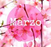 Scopri di più sull'articolo Programma mese di marzo 2026