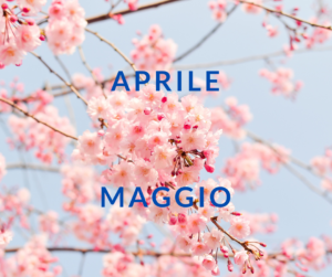 Scopri di più sull'articolo Programma di Aprile e Maggio 2024