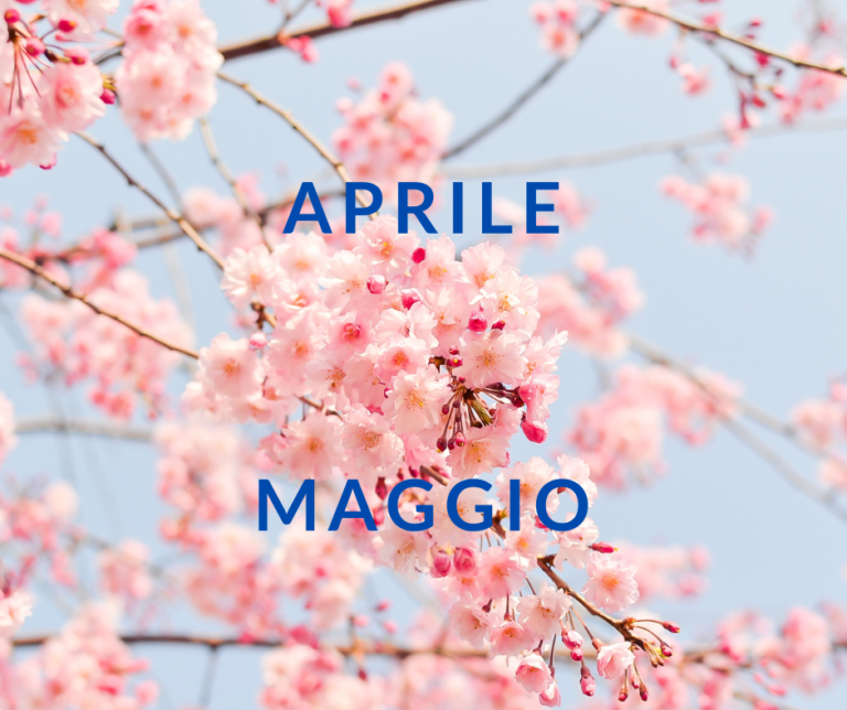 Scopri di più sull'articolo Programma di Aprile e Maggio 2024