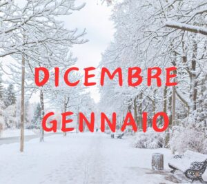 Scopri di più sull'articolo Programma mesi di Dicembre 2024 e Gennaio 2025