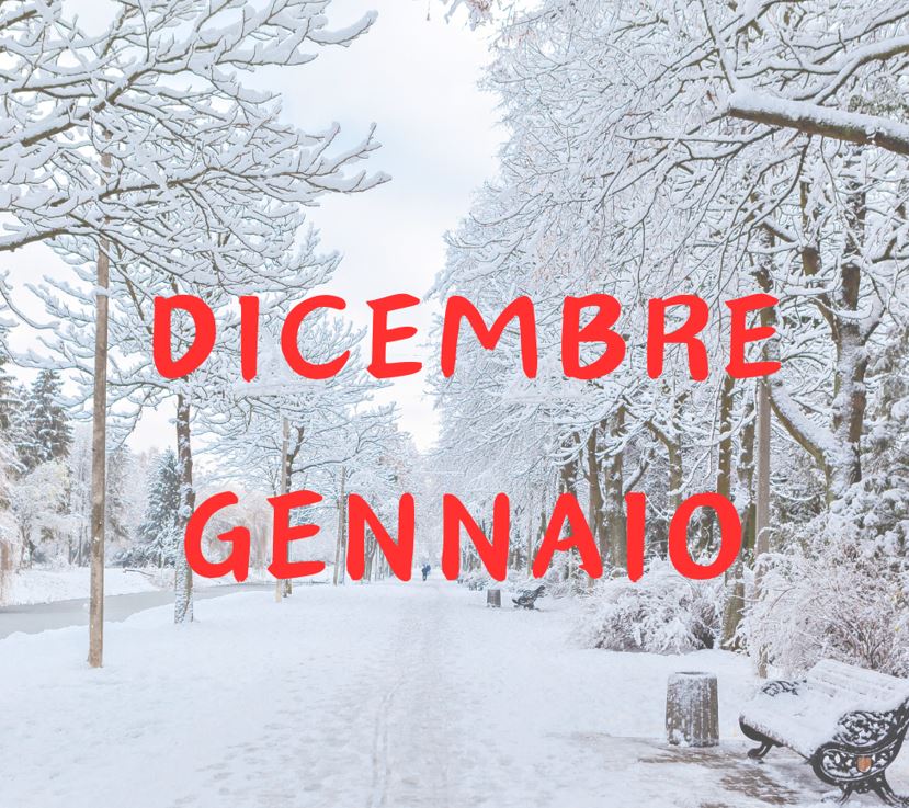 Al momento stai visualizzando Programma mesi di Dicembre 2024 e Gennaio 2025