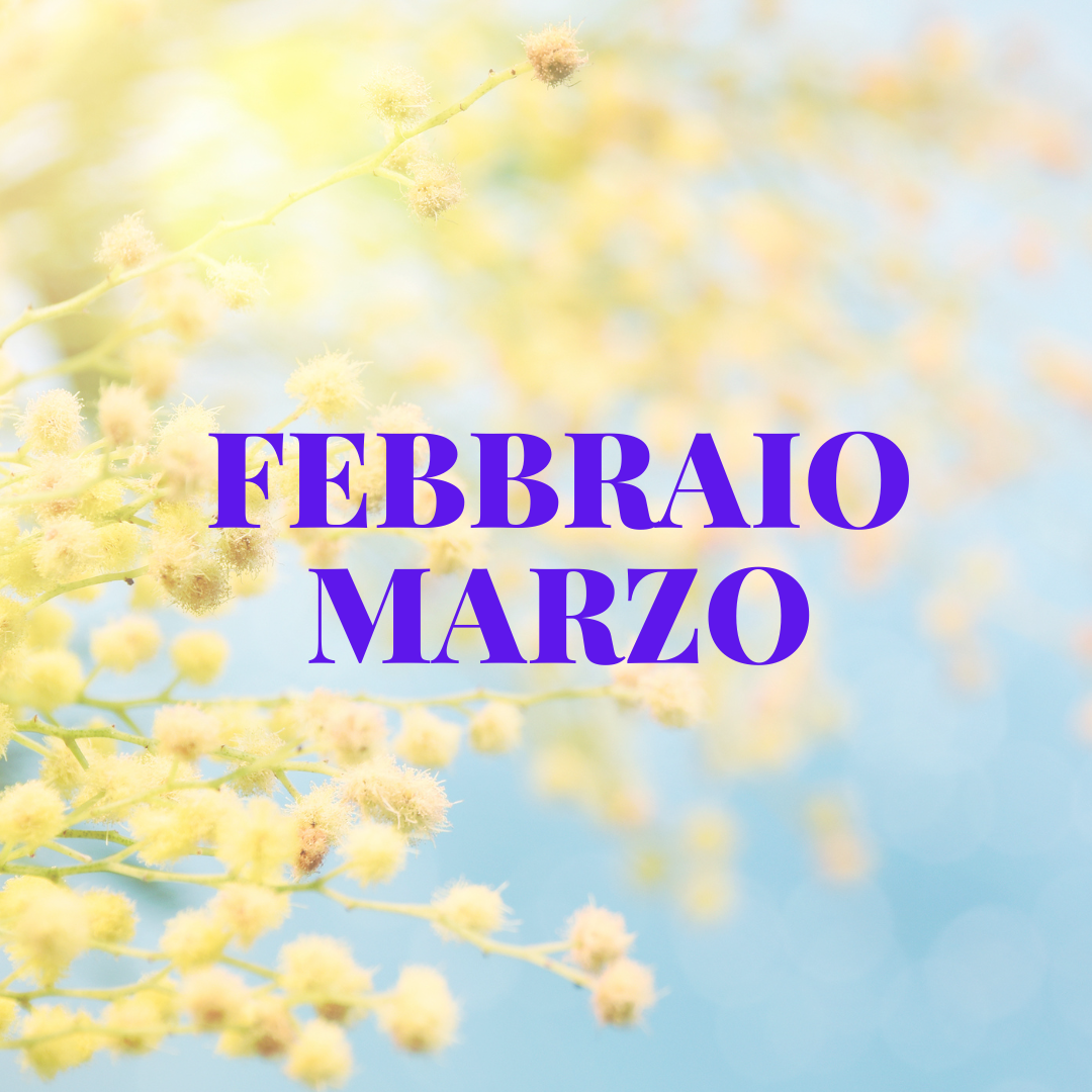 Al momento stai visualizzando Programma dei mesi di febbraio e marzo 2025