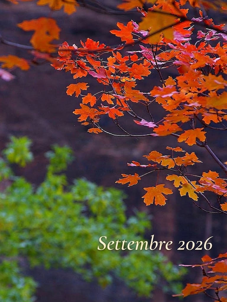 Al momento stai visualizzando Programma del mese di settembre 2026